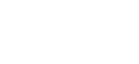 TOPIK Logo